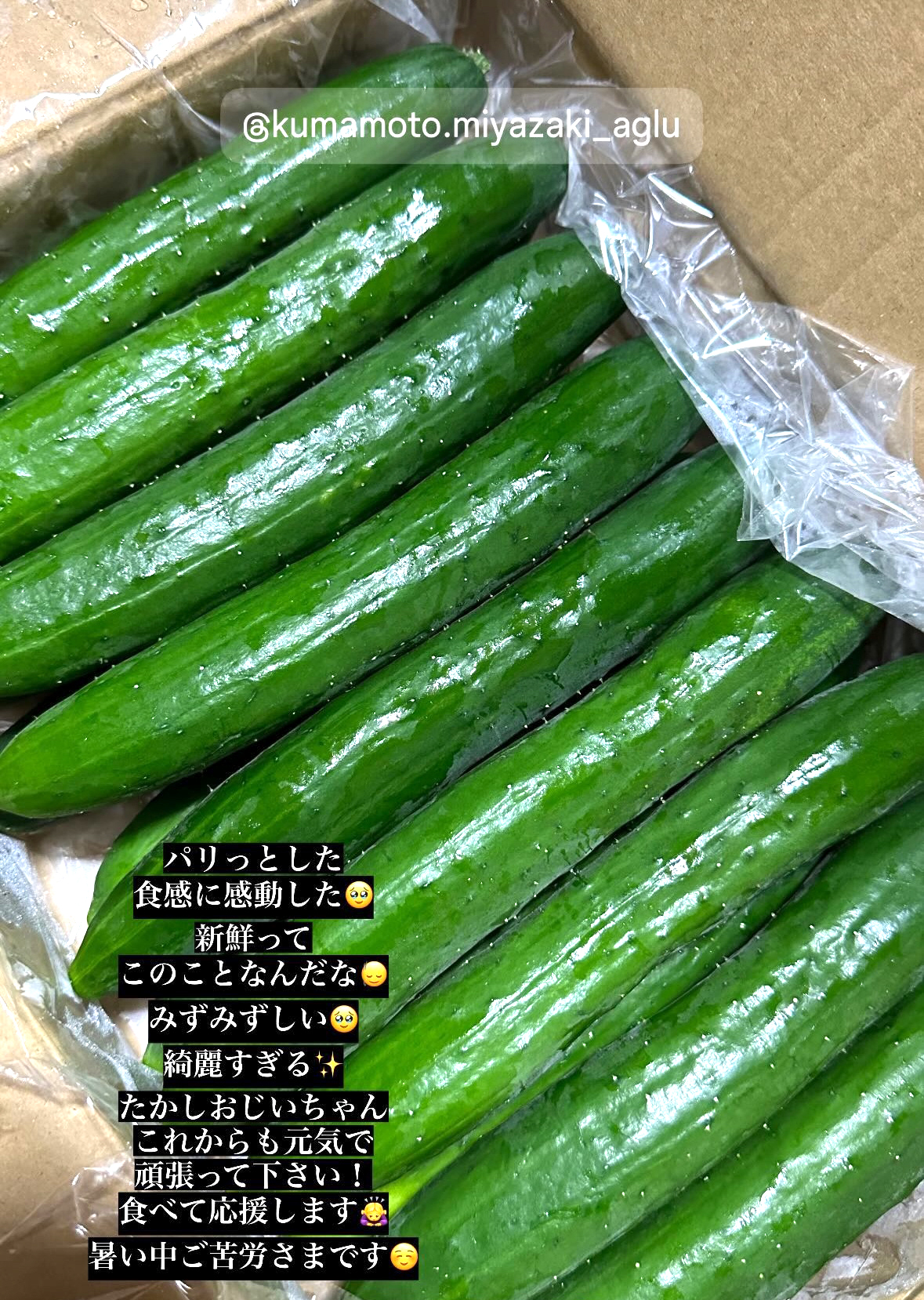 すきなきゅうりお客様の声